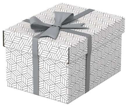 Esselte Archivschachtel A5 – mit Deckel, 200 × 150 × 255 mm, weiss, Karton, 3er Pack
