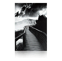 Epson Traditionelles Fotopapier Fotopapier – A3+, 330 g/m², 25 Blatt – für Stylus Pro und SureColor