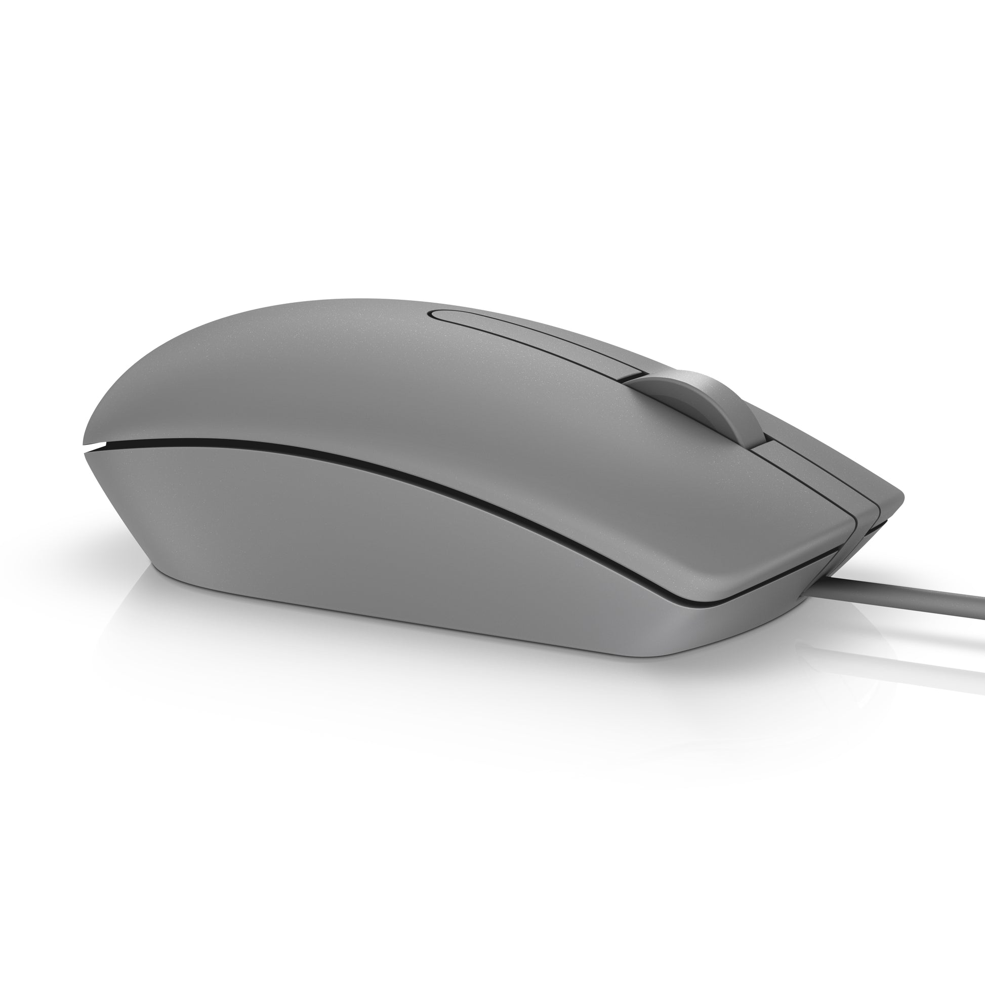 DELL MS116 Maus – kabelgebunden, USB-A, 1'000 dpi, 3 Tasten, beidhändig, grau
