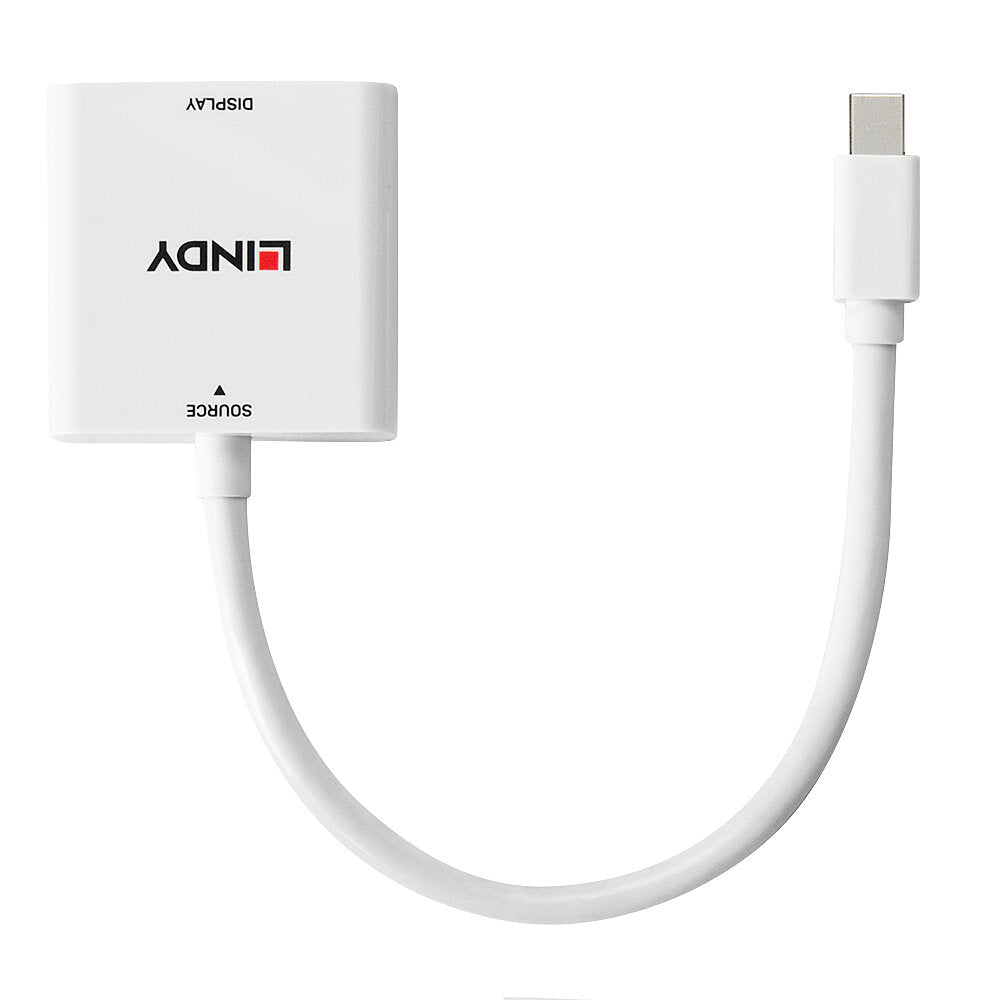 Lindy Mini DisplayPort auf DVI Adapter