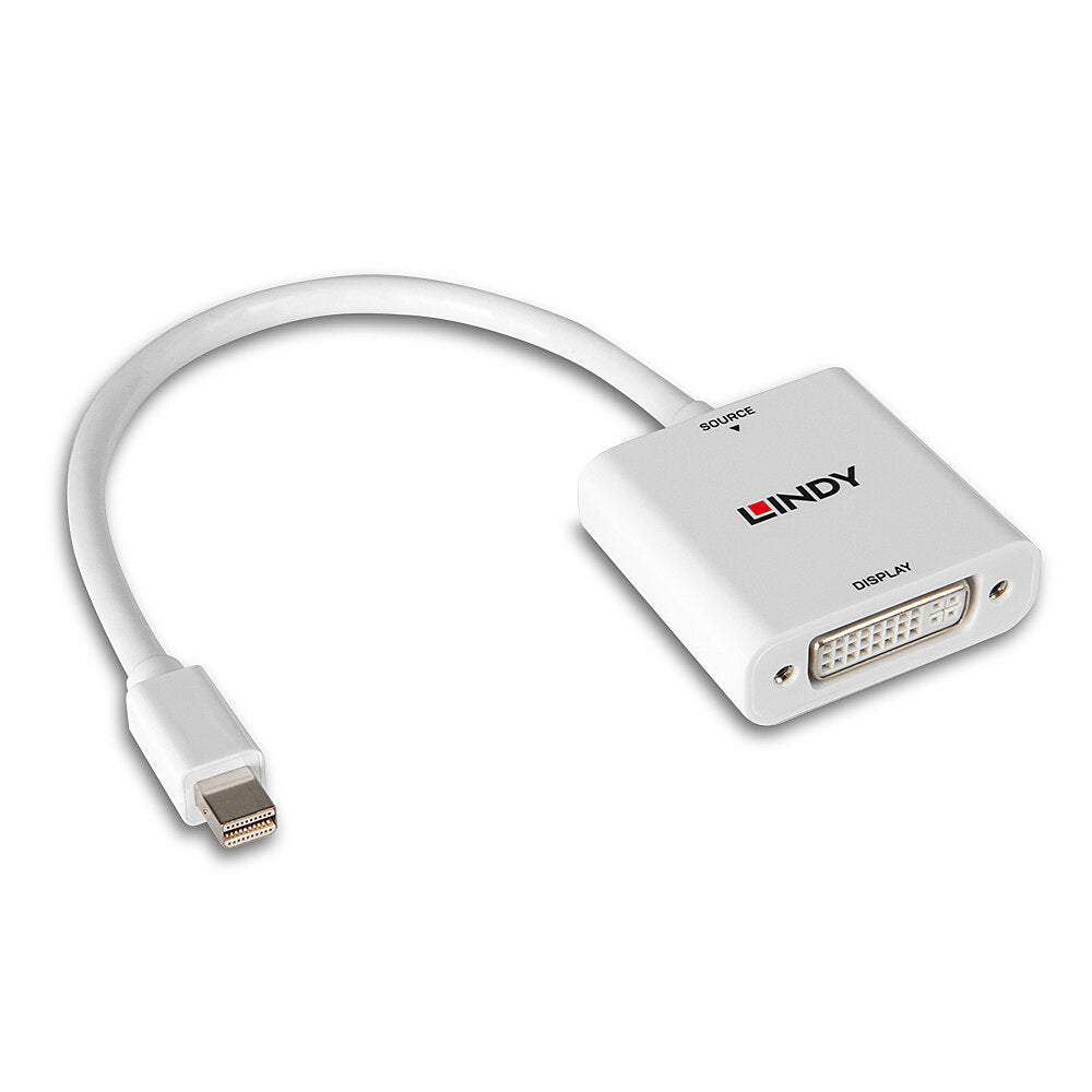 Lindy Mini DisplayPort auf DVI Adapter