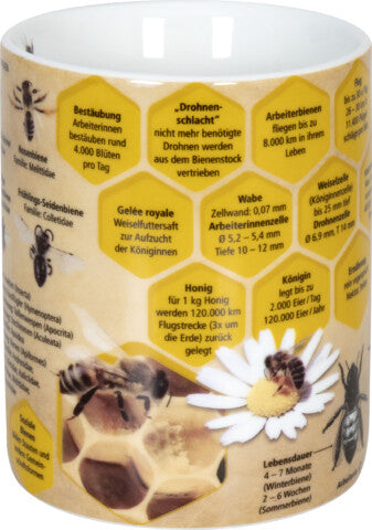 Könitz Porzellan Könitz Kaffeetasse Wissensbecher Biene – 490 ml, Ø 9,5 cm, H 12,0 cm, Porzellan, spülmaschinenfest