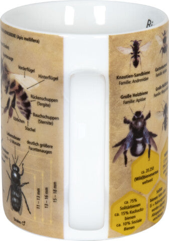 Könitz Porzellan Könitz Kaffeetasse Wissensbecher Biene – 490 ml, Ø 9,5 cm, H 12,0 cm, Porzellan, spülmaschinenfest