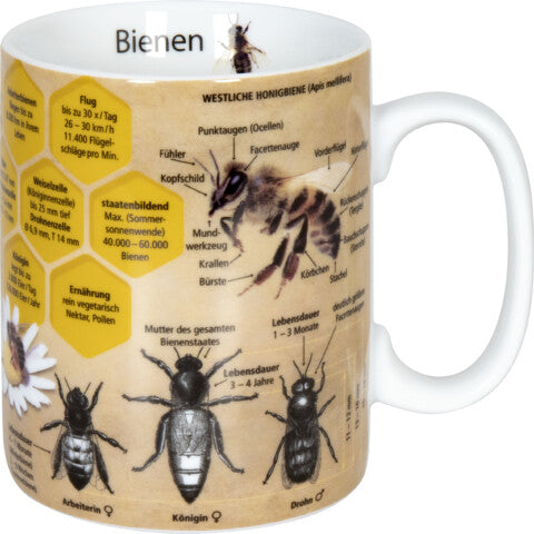 Könitz Porzellan Könitz Kaffeetasse Wissensbecher Biene – 490 ml, Ø 9,5 cm, H 12,0 cm, Porzellan, spülmaschinenfest