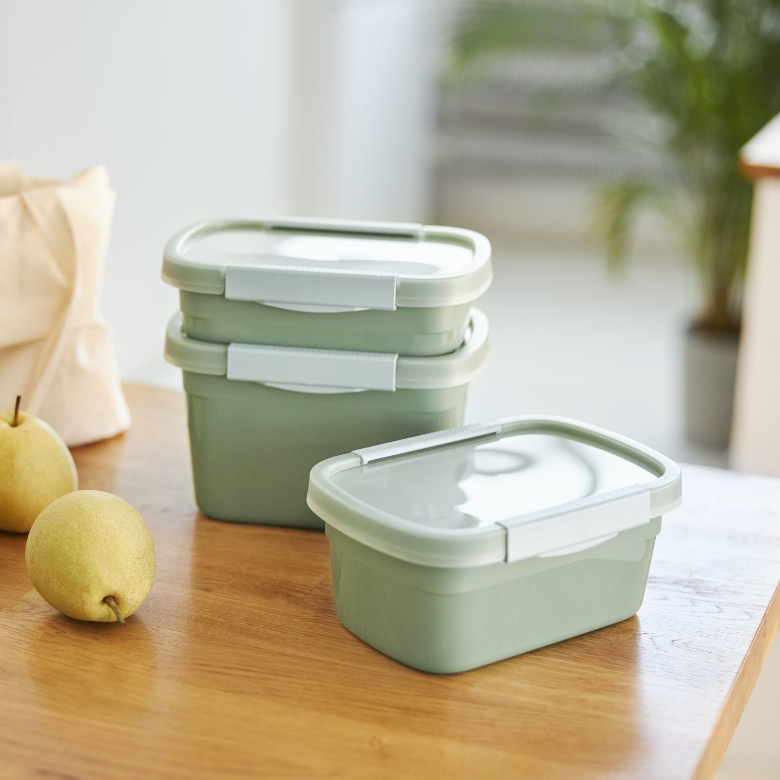 Rotho Kühlschrankdose Clic Eco – 2,2 l – rechteckig – 15 × 13,5 × 22 cm – Kunststoff – grün