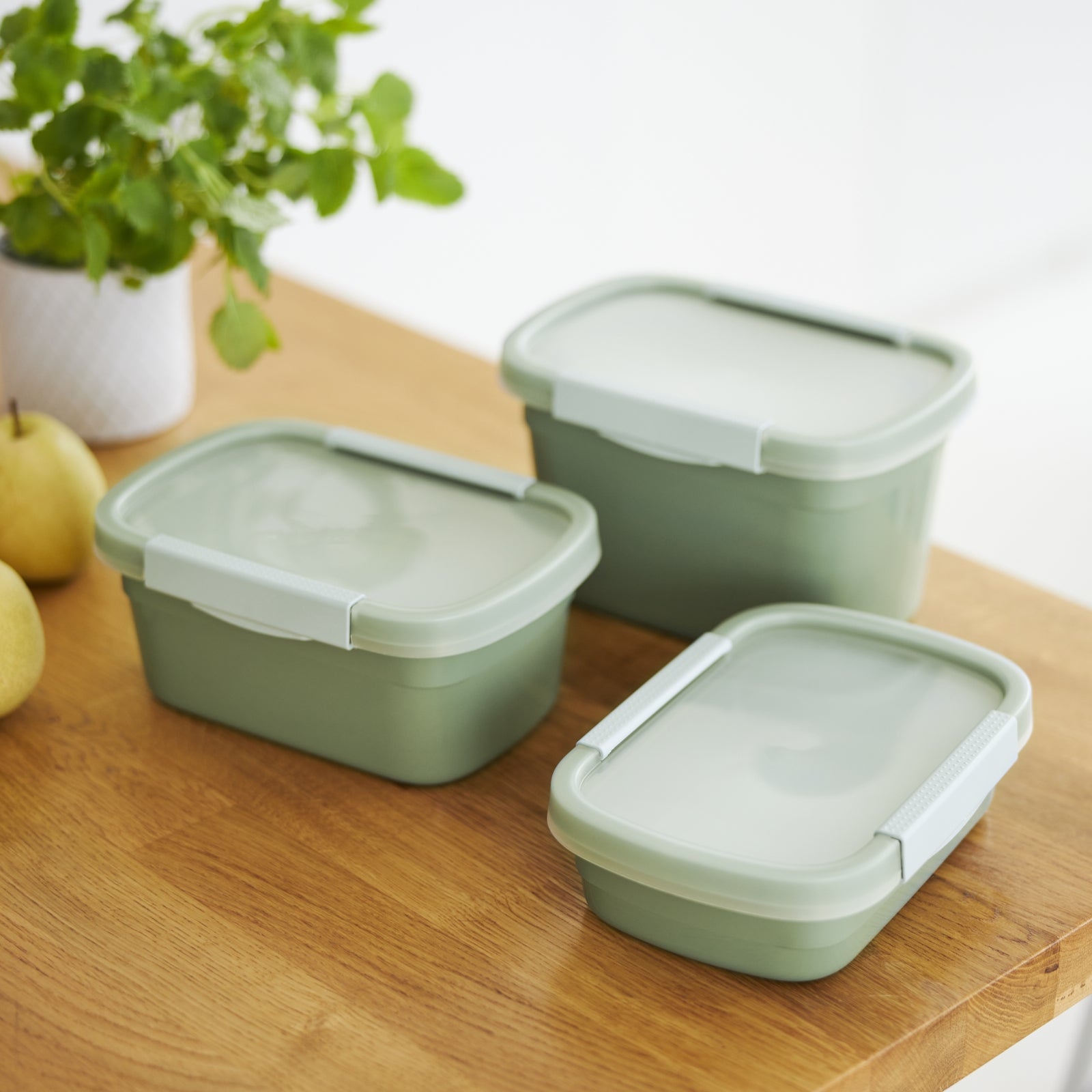 Rotho Kühlschrankdose Clic Eco – 2,2 l – rechteckig – 15 × 13,5 × 22 cm – Kunststoff – grün