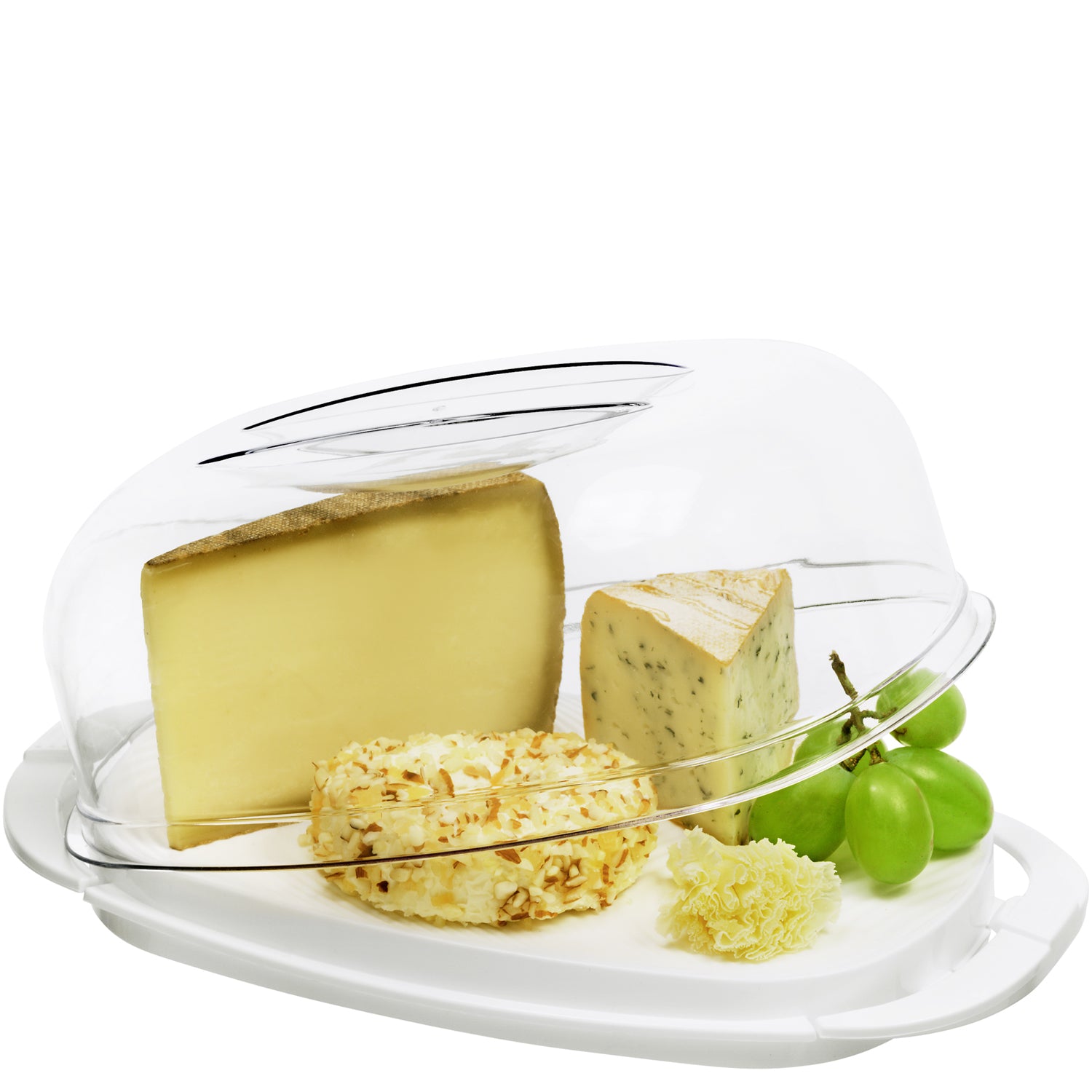 Rotho Käseglocke – 2,3 l, 17 × 29 × 10,5 cm, Kunststoff, Transparent/Weiss, spülmaschinenfest