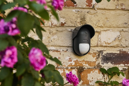 Yale AL-EPIR-1A-G – Bewegungsmelder (PIR), Funk, 12 m Reichweite, 3 Jahre, für Yale Smart Alarm