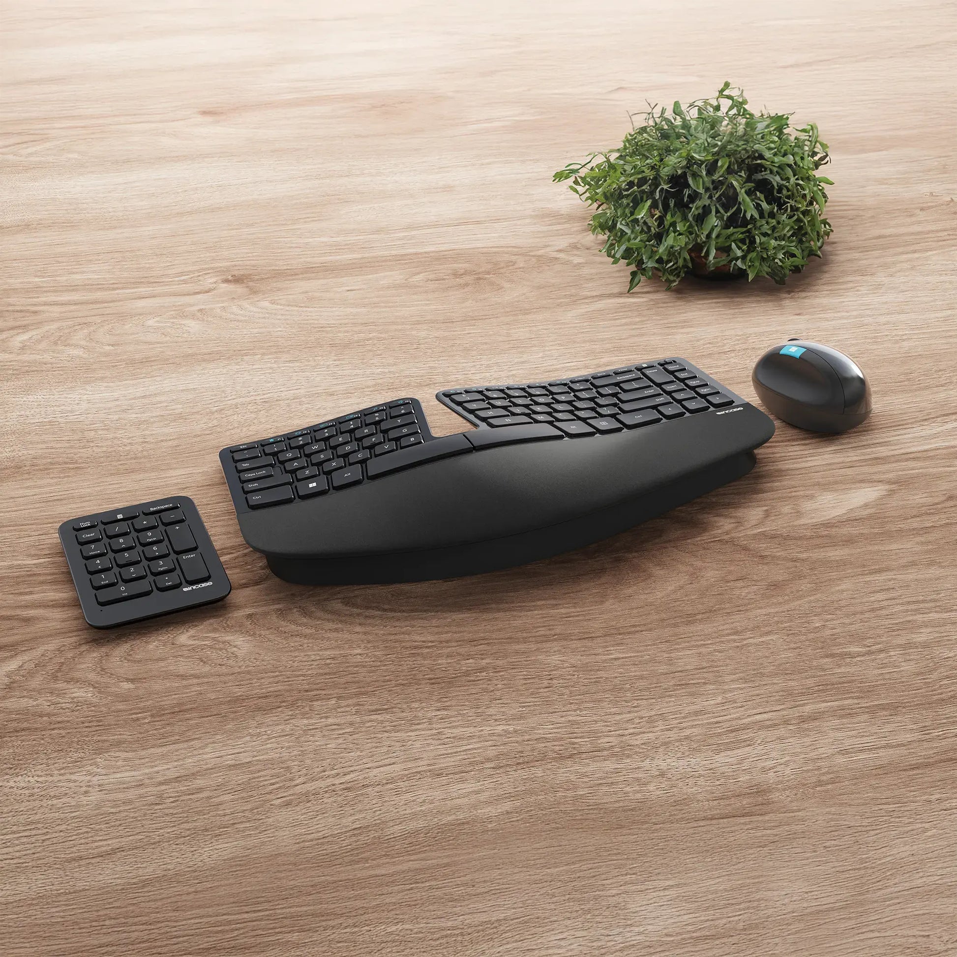 Incase Sculpt Ergonomisches Desktop – Tastatur-Maus-Set – 2,4 GHz USB-A – QWERTY (Nordisch) – Schwarz