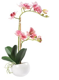 Dekomat AG Dekomat Orchidee im Topf – 48 cm – Kunststoff & Keramik & Seide, mehrfarbig