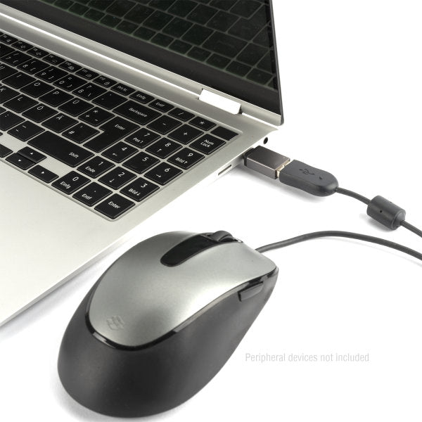 4smarts 458769 Adapter USB-C zu USB-A – USB 3.2 Gen 1 (5 Gbit/s), 2 Stück, Grau