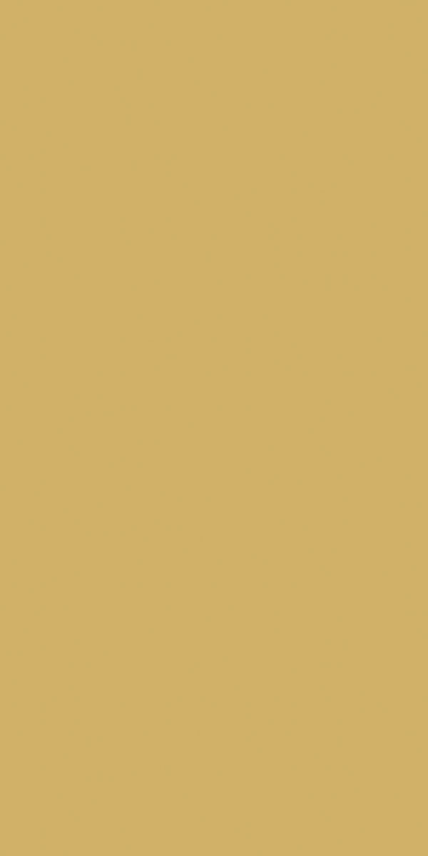 Duni Tischdecke Papier Gold – 138 × 220 cm