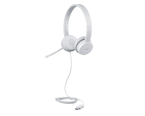 Lenovo Office-Headset – Over-Ear, Stereo, Kabel (USB-A), Grau