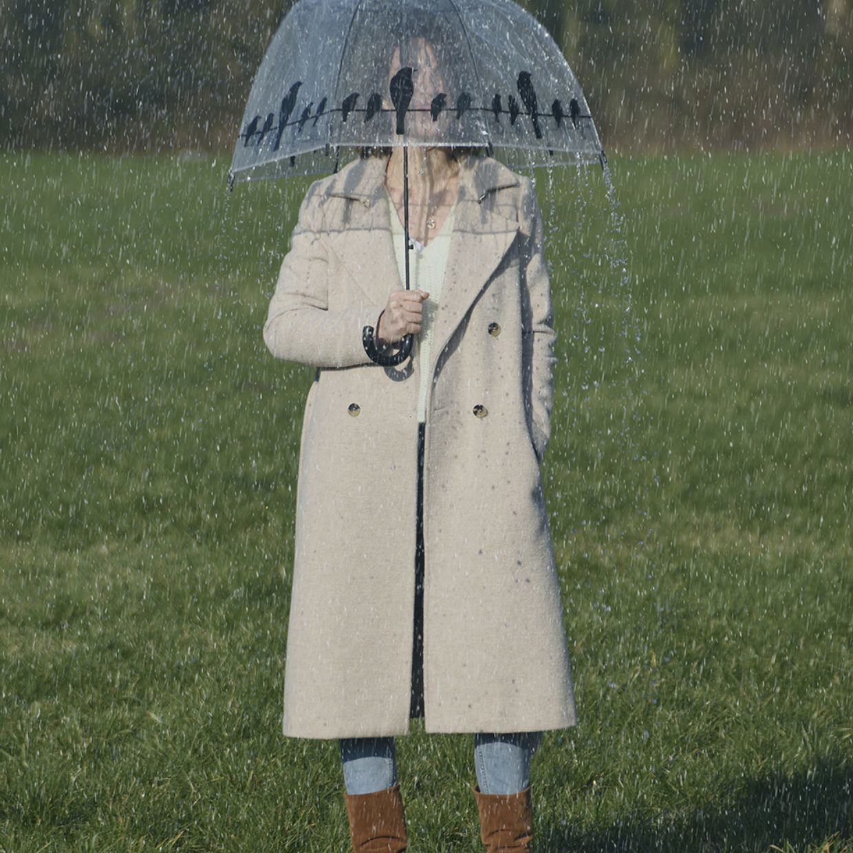 Esschert Design Stockschirm TP166 – Ø 83 cm, L 81,5 cm – transparent Vögel auf Draht
