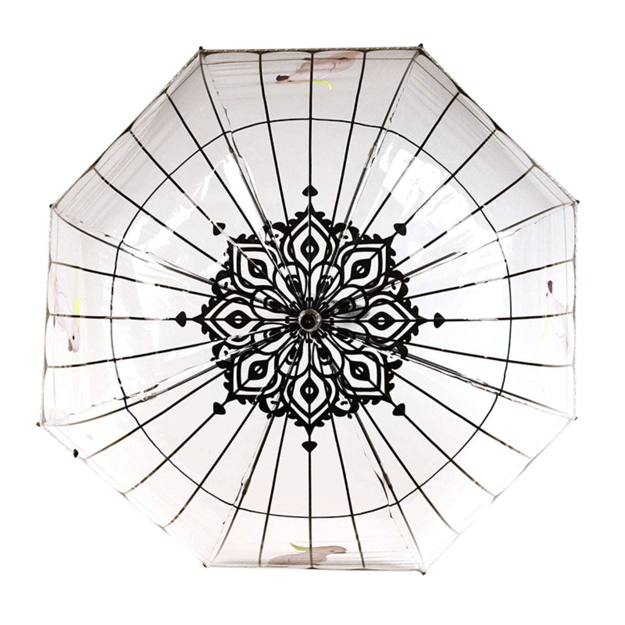 Esschert Design Stockschirm TP321 – Ø 81 cm, L 83.3 cm – Transparenter Vogelkäfig
