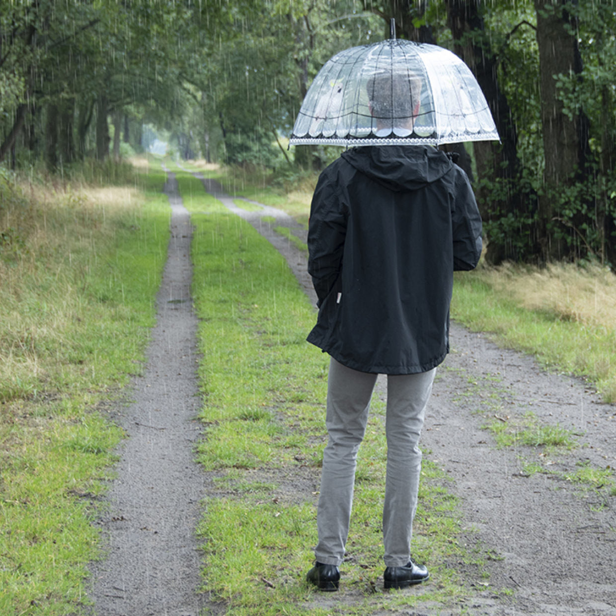 Esschert Design Stockschirm TP321 – Ø 81 cm, L 83.3 cm – Transparenter Vogelkäfig