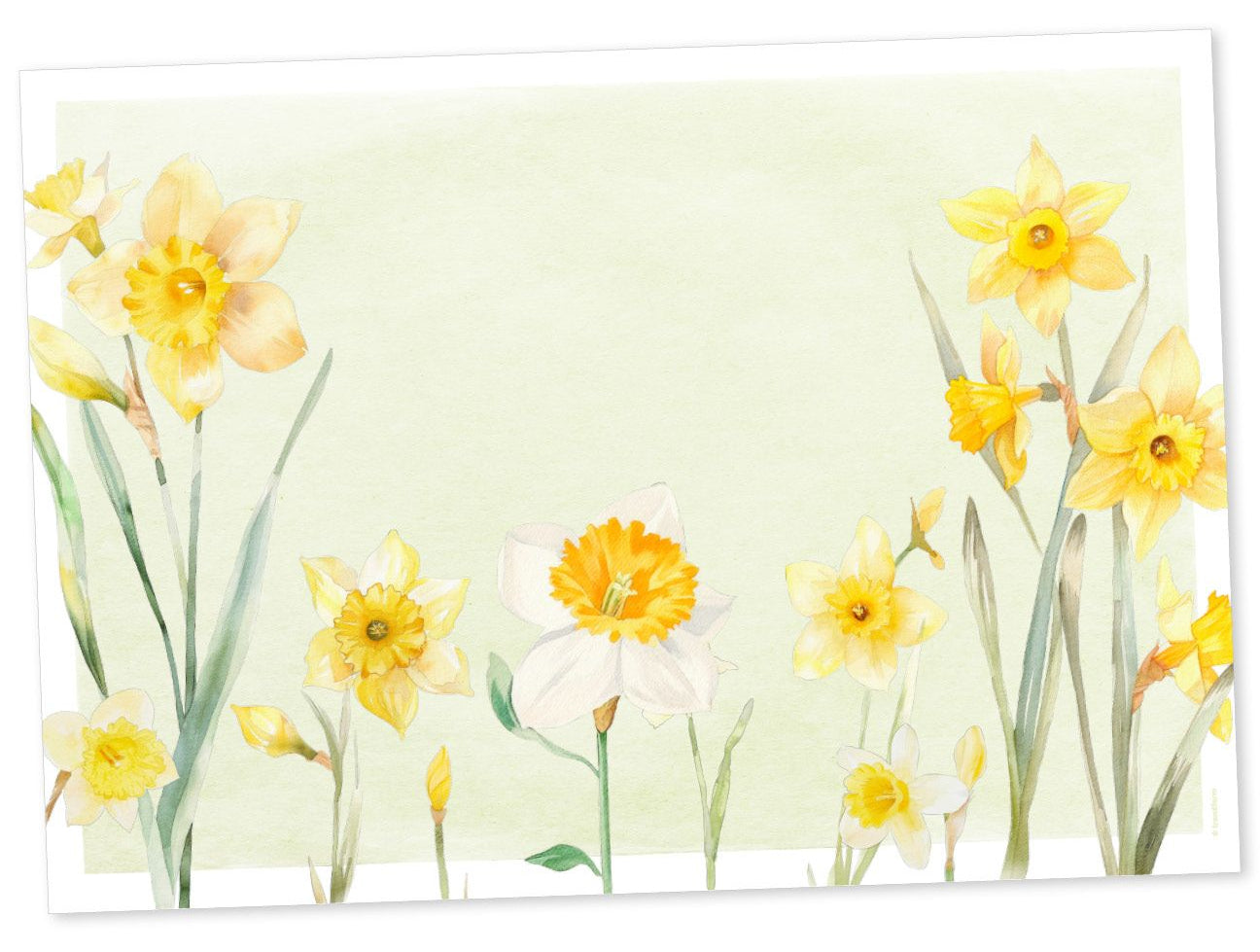Trendform Tischset Sunny Bloom – Papier, Blumenmotiv, 42 × 29,7 cm – 6 Stk.