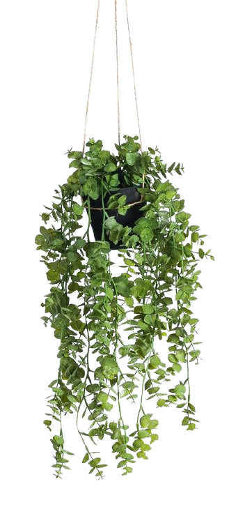 Botanic-Haus Eukalyptus Topfpflanze – 58 × 32 cm – Kunststoff, grün – 6-teilig