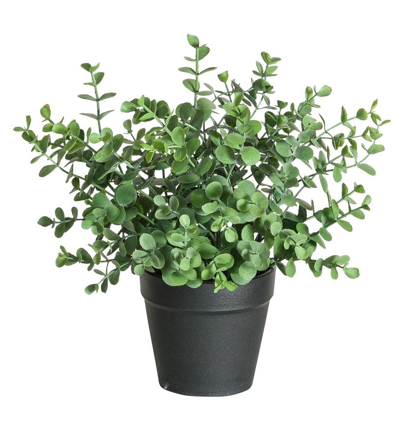 Botanic-Haus Eukalyptus Künstliche Topfpflanze – Ø 13 × 21 cm – Kunststoff, Grün