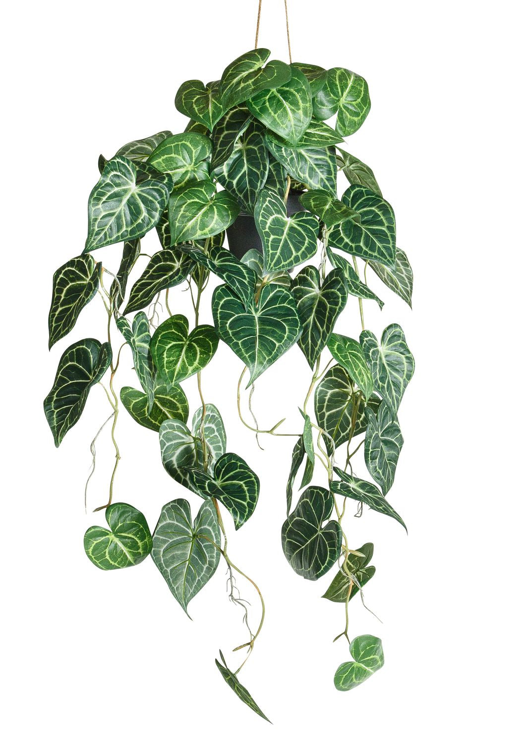 Botanic-Haus Künstliche Topfpflanze Anthurium – Ø 37 × 87 cm – Kunststoff, Grün – 6-teilig