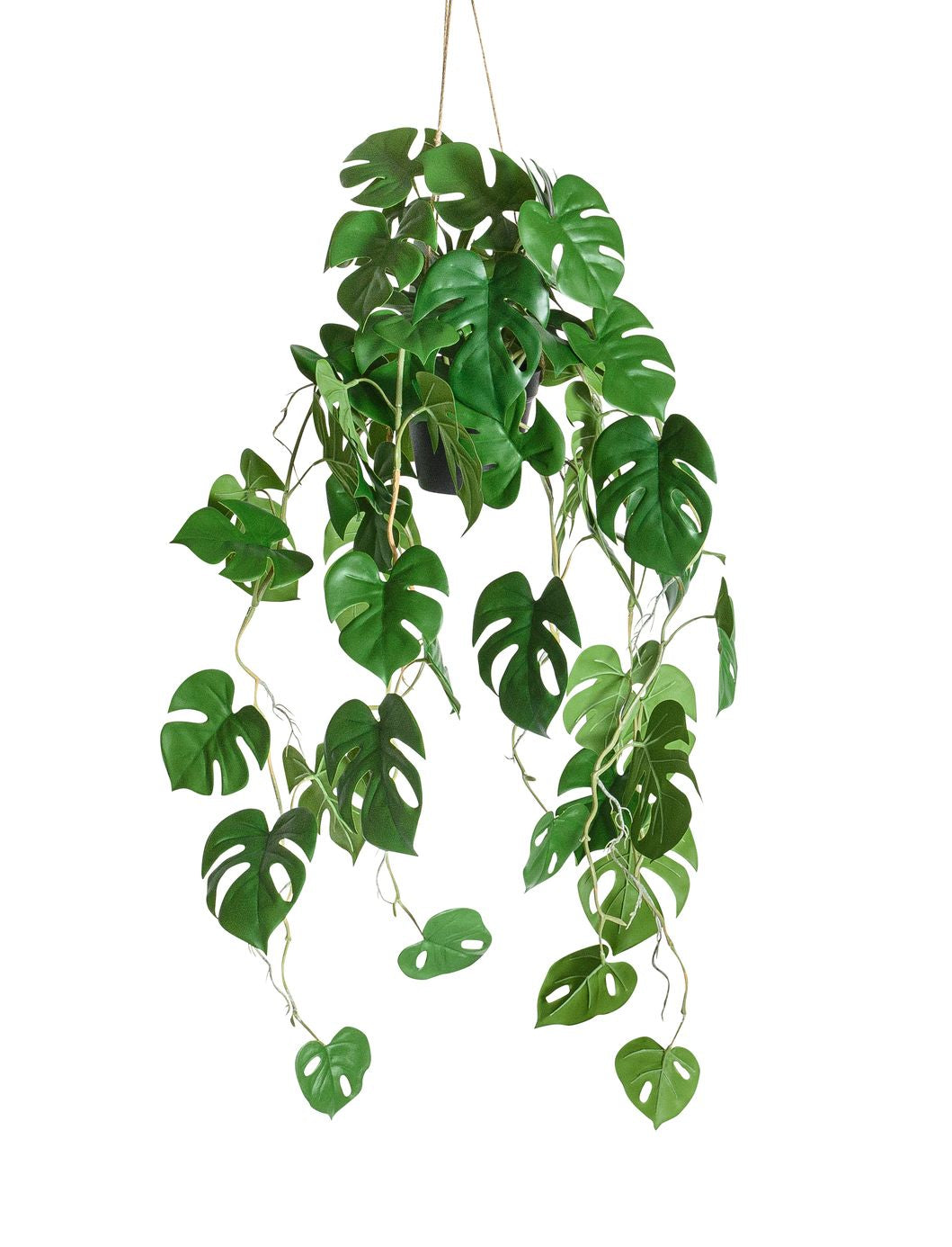 Botanic-Haus Künstliche Topfpflanze – Ø 37 × 86 cm – Kunststoff, Grün