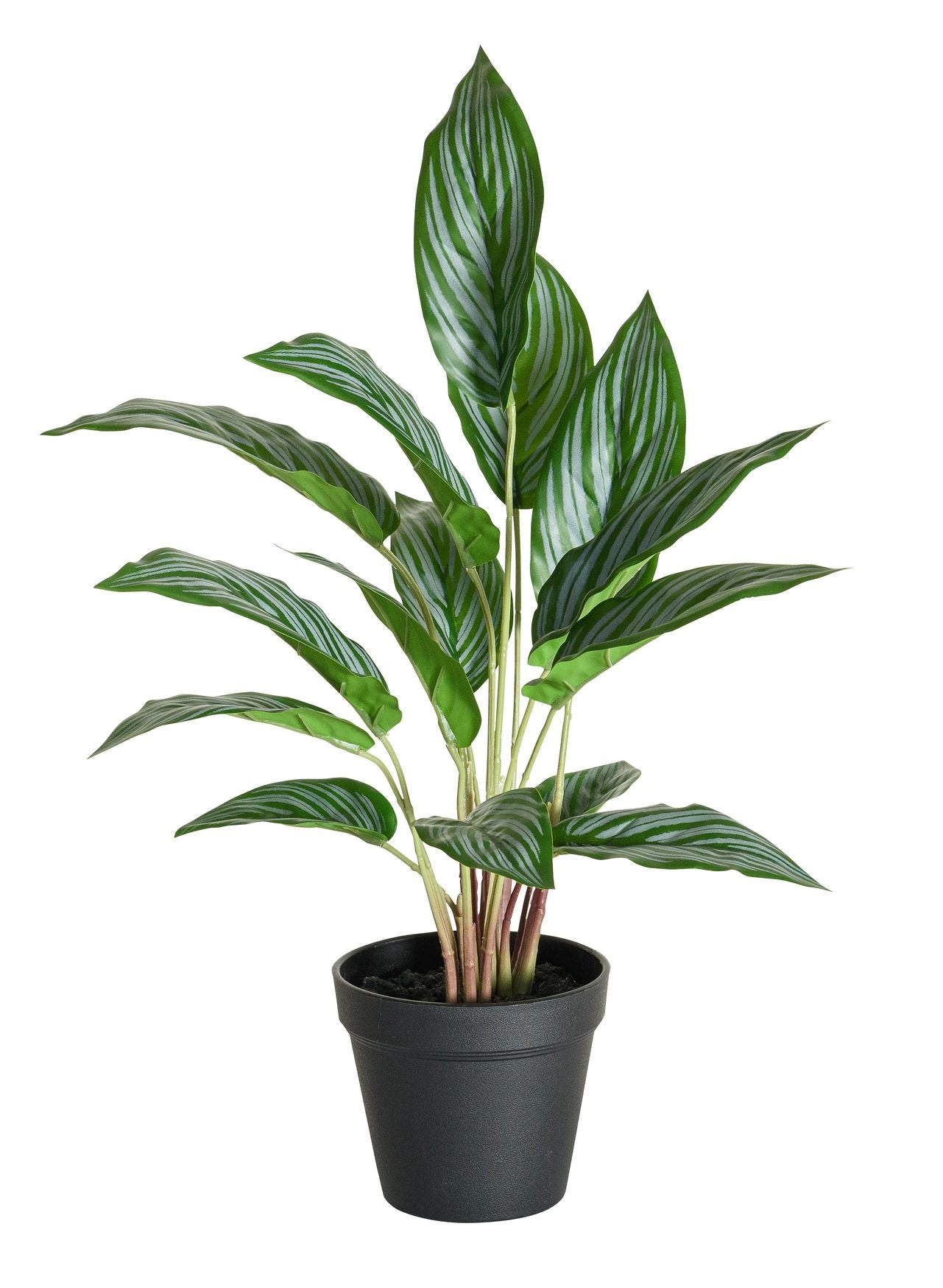 Botanic-Haus Künstliche Topfpflanze – Ø 24 × 46 cm, 6-teilig – Kunststoff, Grün