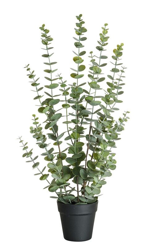 Botanic-Haus Topfpflanze – Ø 40 × 76 cm – Kunststoff, Grün, 4-teilig