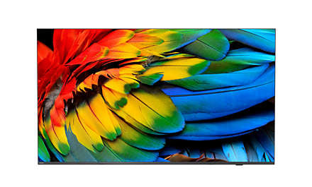 Philips 58HFL6214U/12 MediaSuite – 58" Hotel-TV LED UHD 4K, Android TV, ohne Standfuss