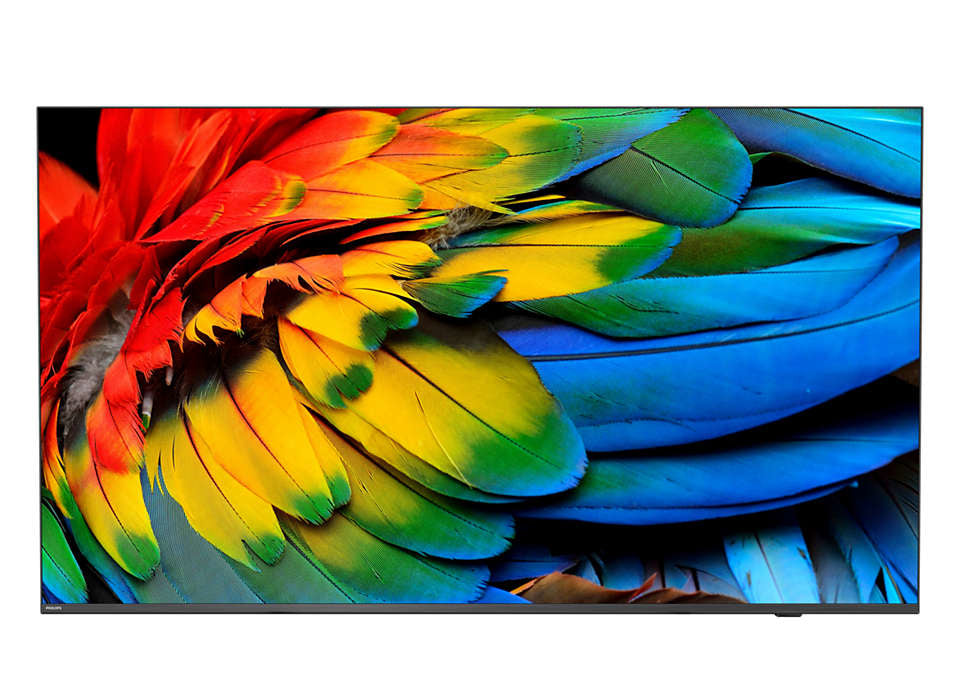 Philips 75HFL6214U/12 MediaSuite – 75" Hotel-TV LED UHD 4K, Android TV