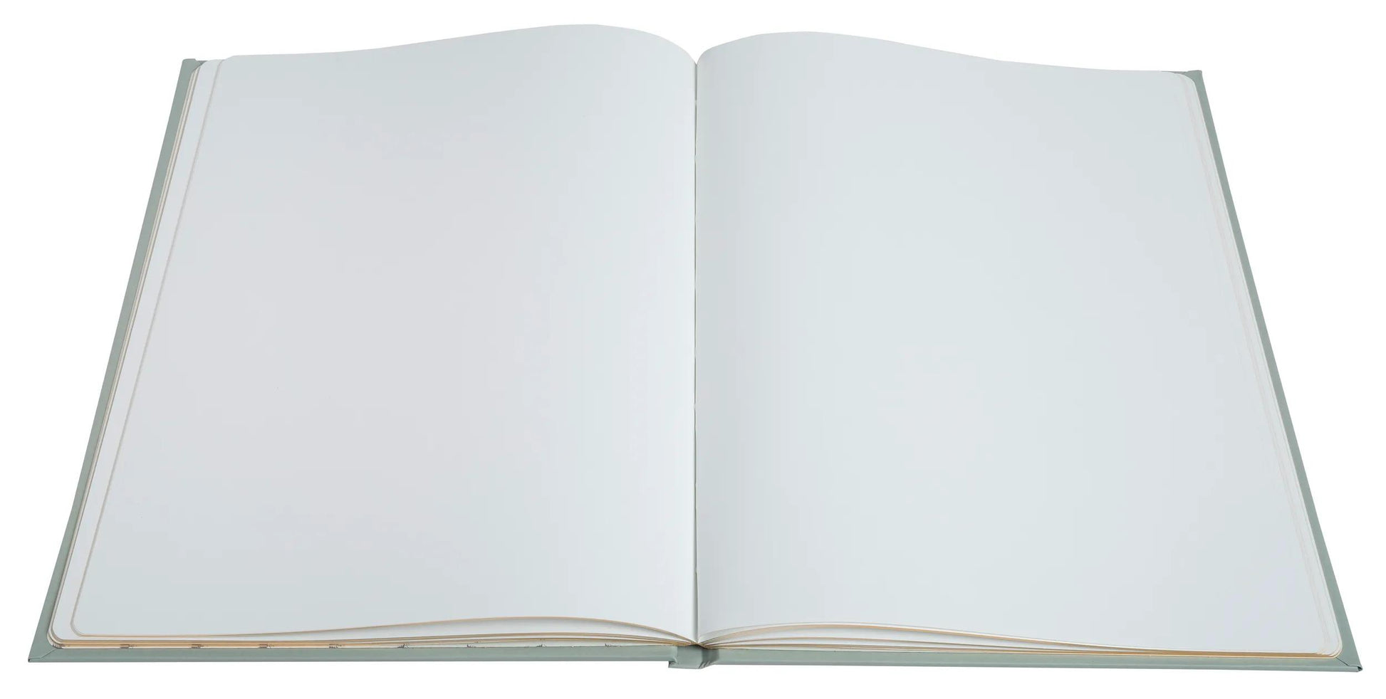 Exacompta Gästebuch Ellipse – 100 Seiten – 220 × 270 mm – Hardcover, gold, grün
