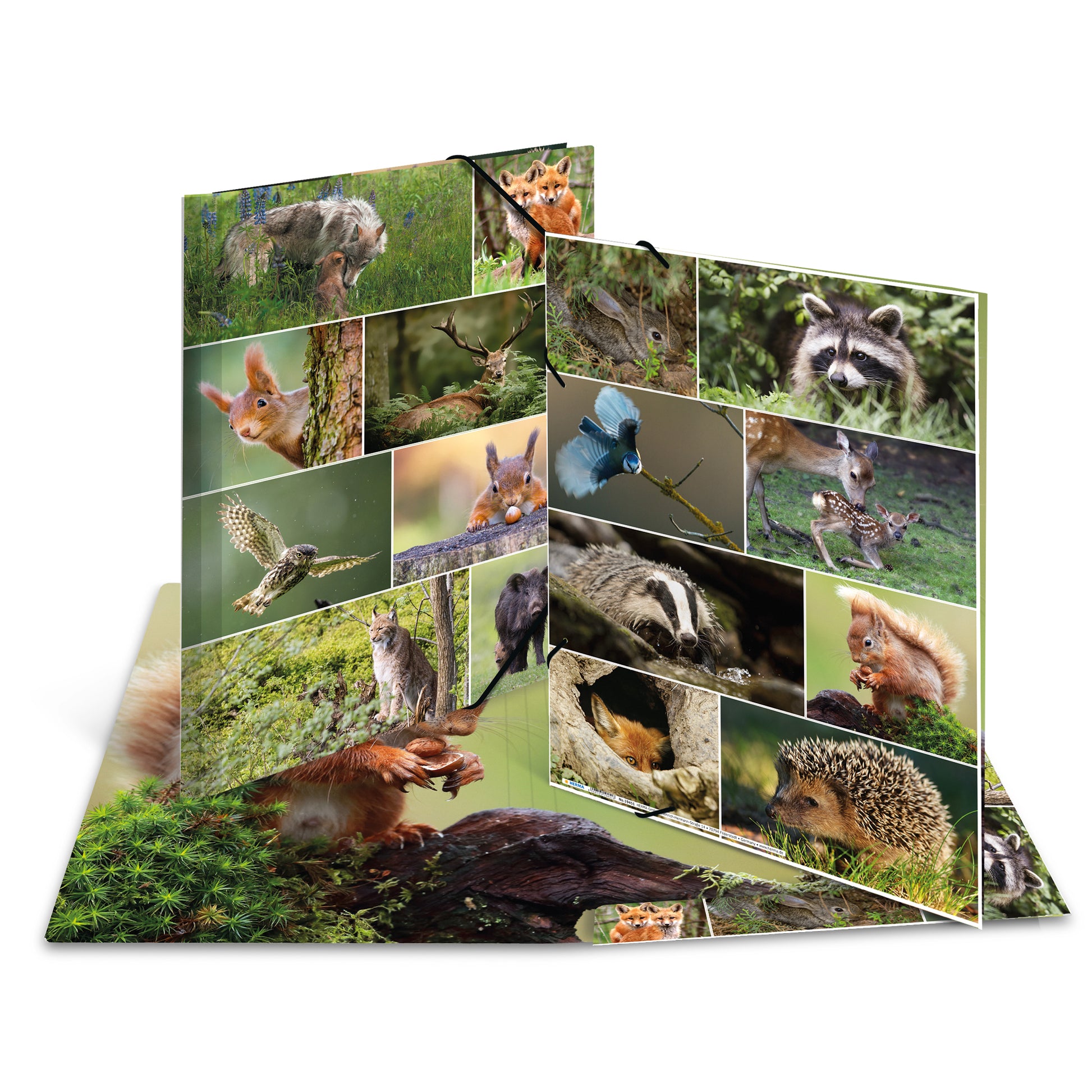 HERMA Eckspannermappe Waldtiere A3 – Gummiband, Karton, Mehrfarbig