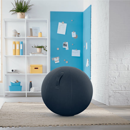 Leitz Sitzball Ergo Cosy Active – Ø 65 cm, samtgrau
