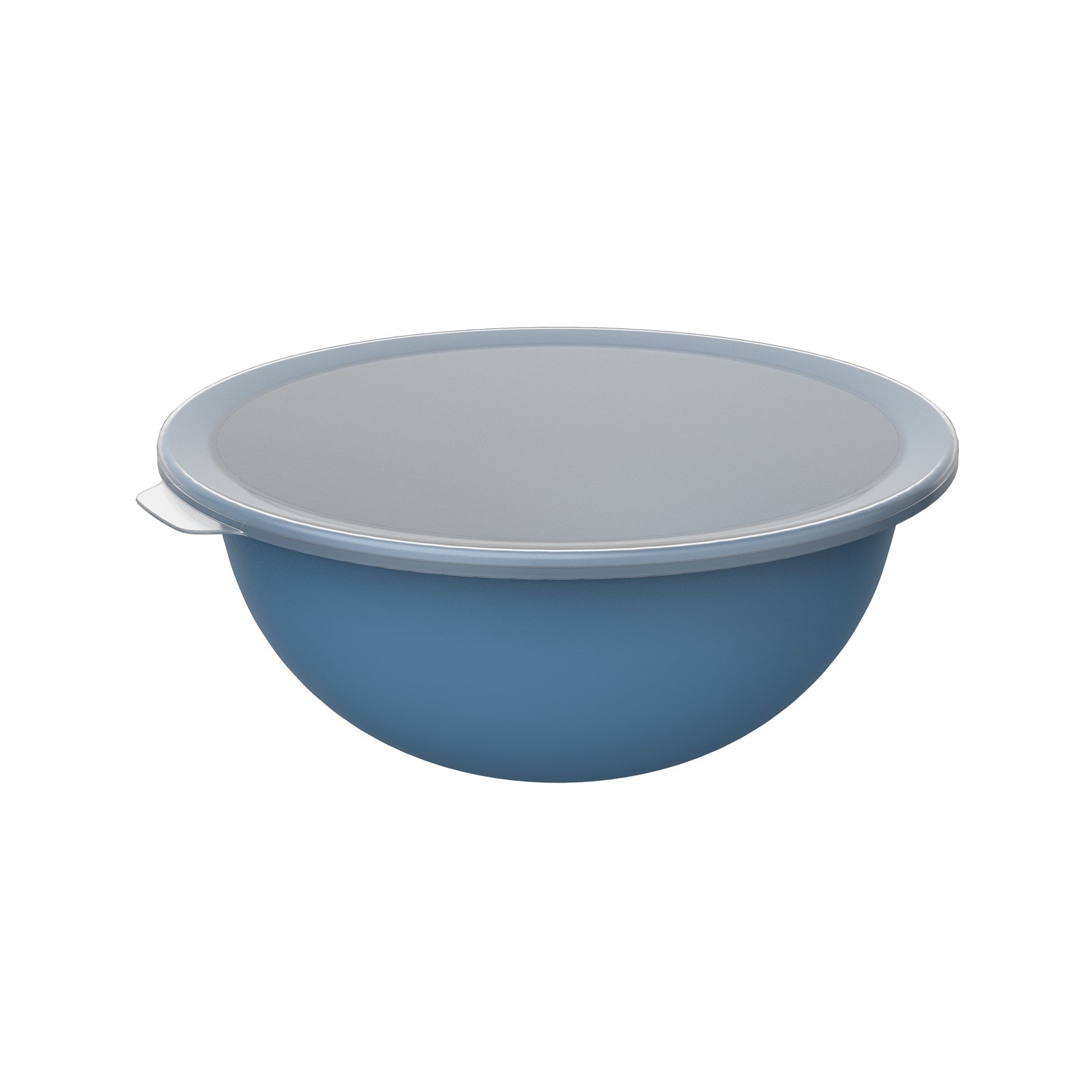 Rotho Schüssel Caruba – 4,8 l – mit Deckel, stapelbar, spülmaschinenfest – PP – blau – 32,2 × 13,3 × 30,5 cm