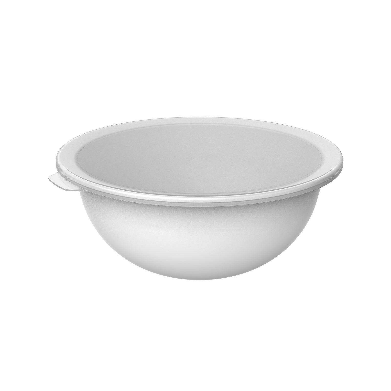 Rotho Schüssel Caruba – 4,8 l, 32,2 × 30,5 × 13,3 cm, Kunststoff, Weiss, mit Deckel, spülmaschinenfest, BPA-frei