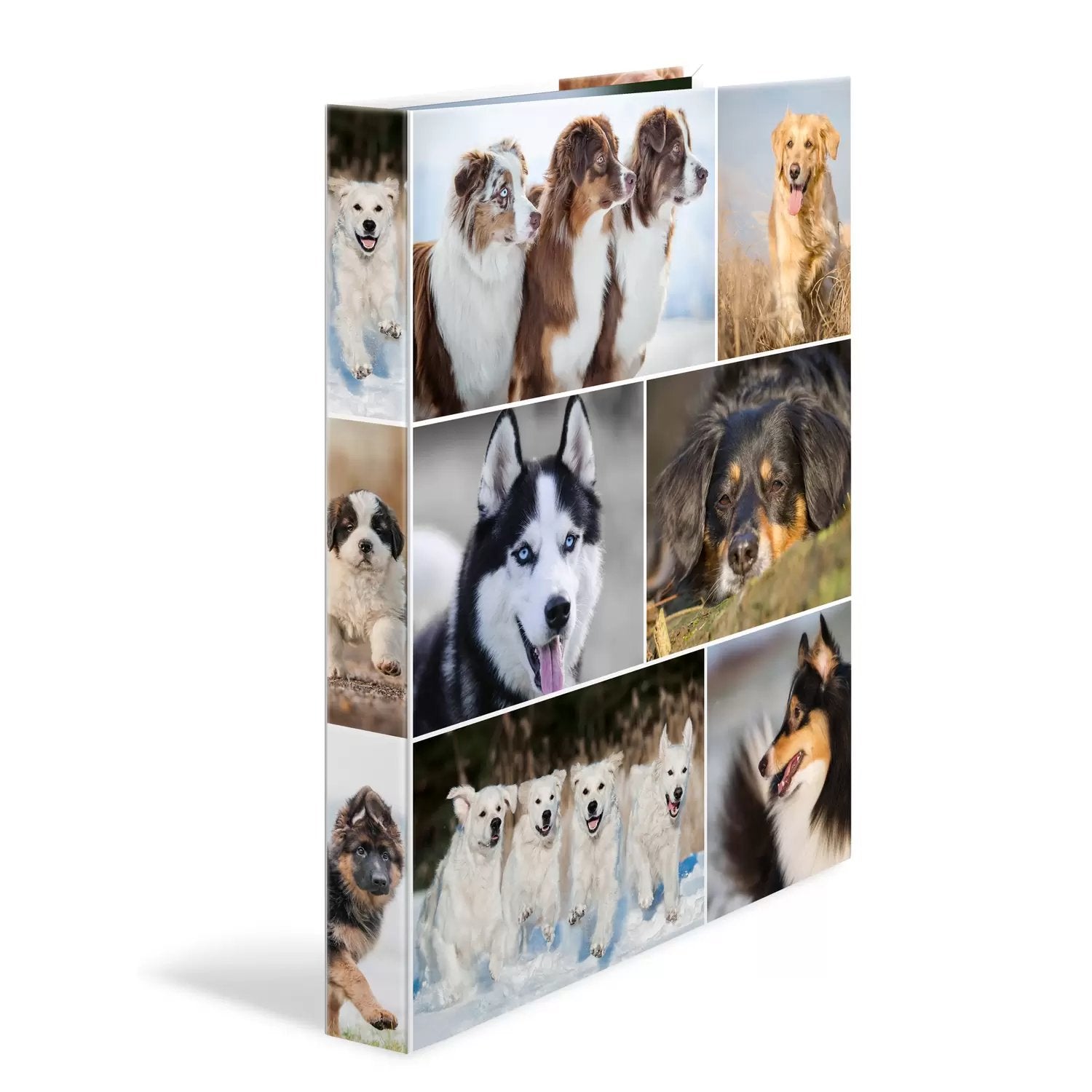HERMA Zeigebuch Animals – A4 Hochformat – 2-Ring Bügelmechanik, Rücken 35 mm – Mehrfarbig, Karton, mit Niederhalte