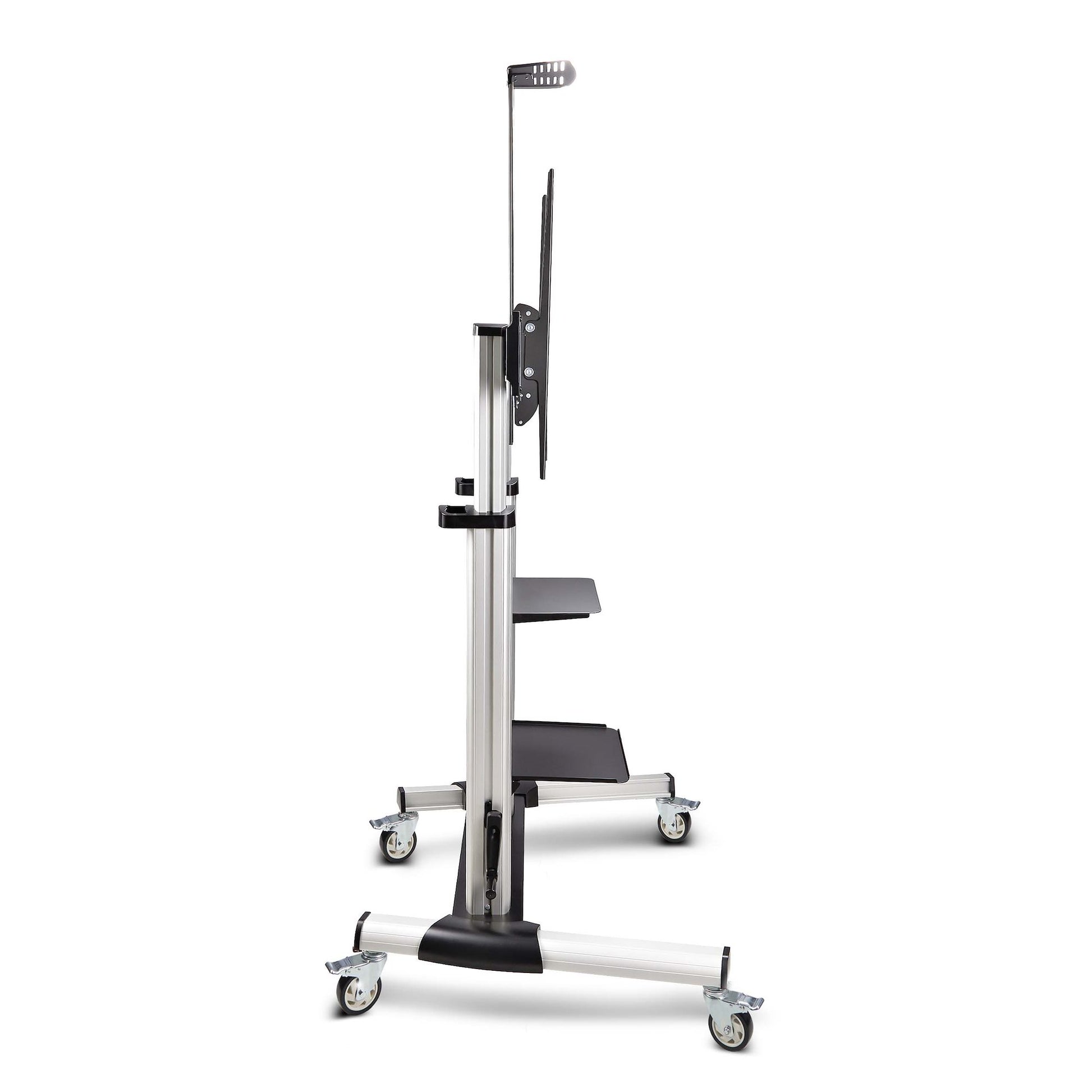 StarTech.com TV-Wagen – 60–100" – VESA 200×200–1000×600 – bis 100 kg, Höhenverstellbar, mit Rollen