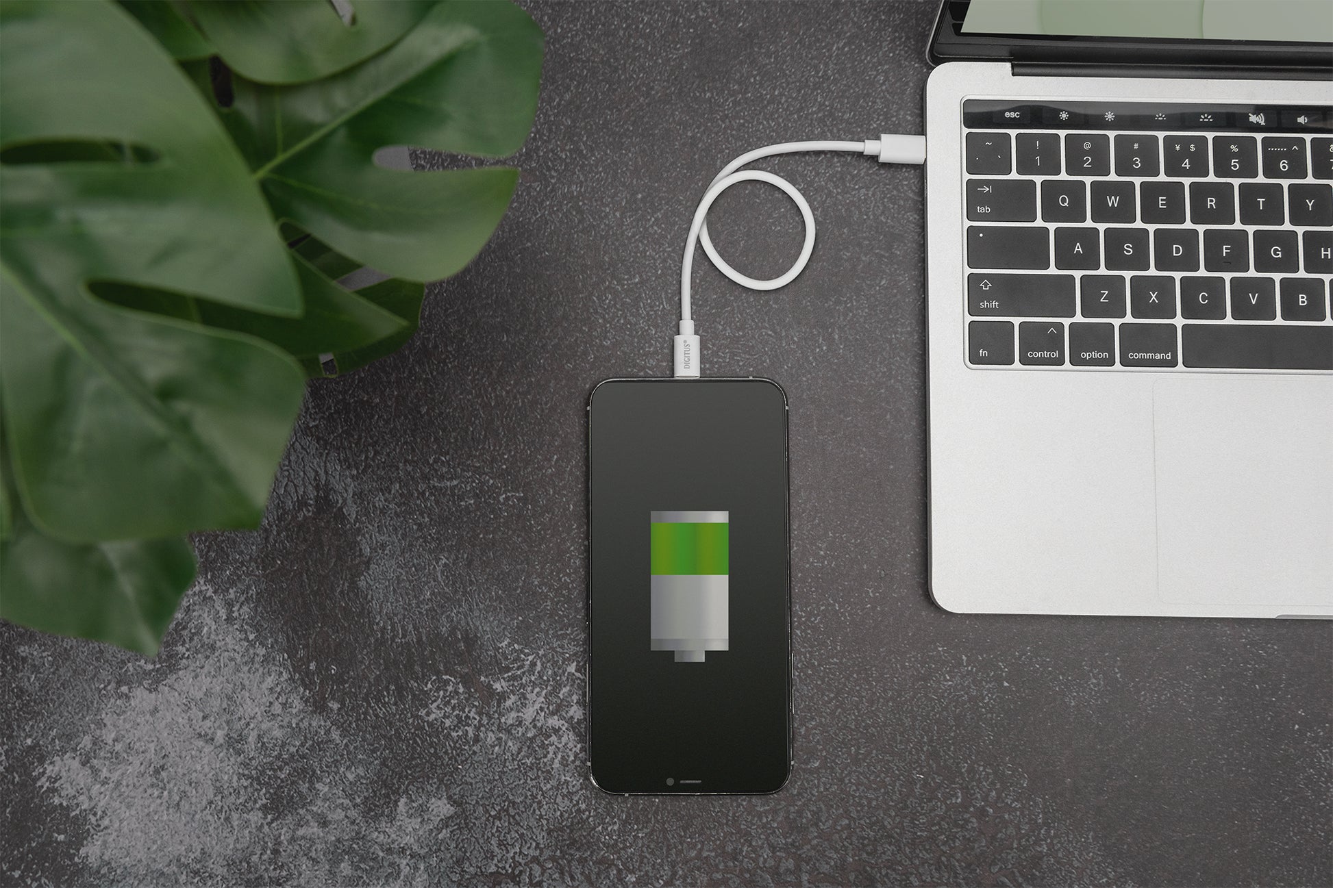Digitus Lightning–USB-C Kabel – 1 m, schwarz