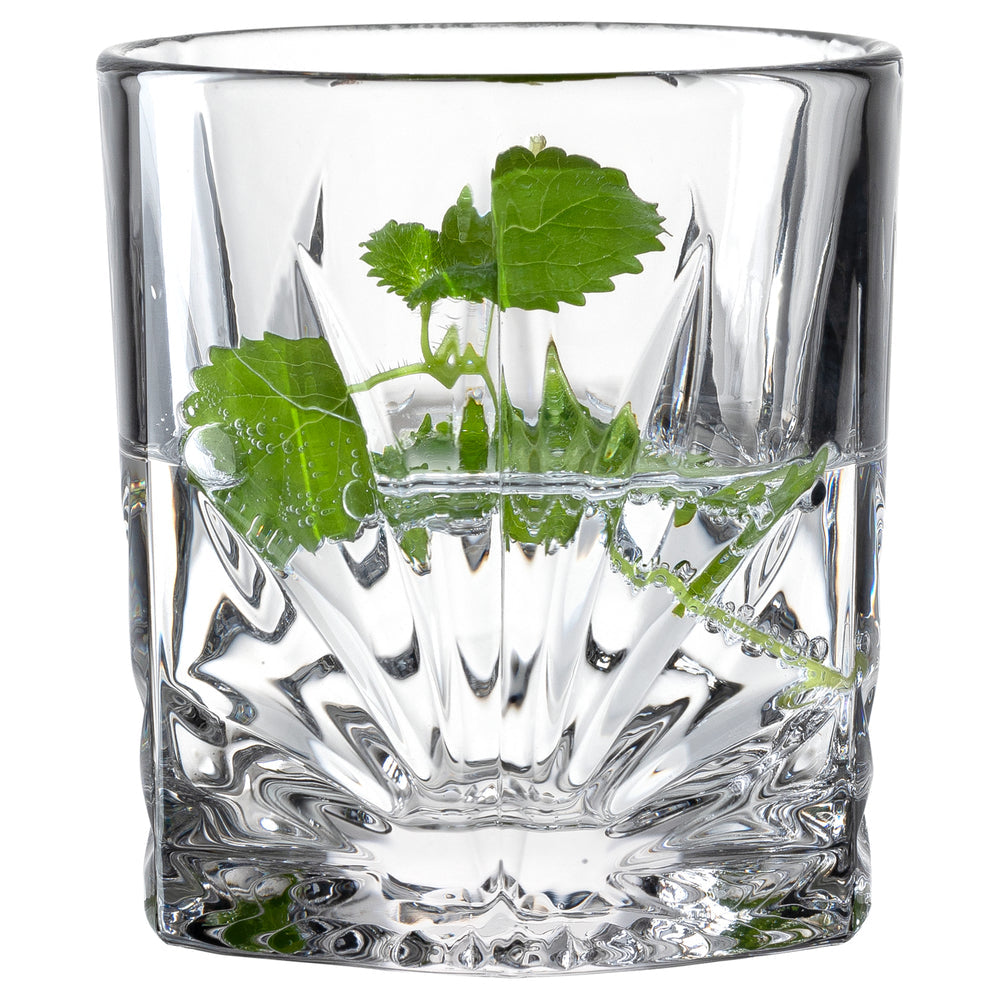 LEONARDO Whiskyglas Capri – 4er Set, 220 ml, Ø 7,6 cm, Kalk-Natron-Glas, Transparent, spülmaschinenfest