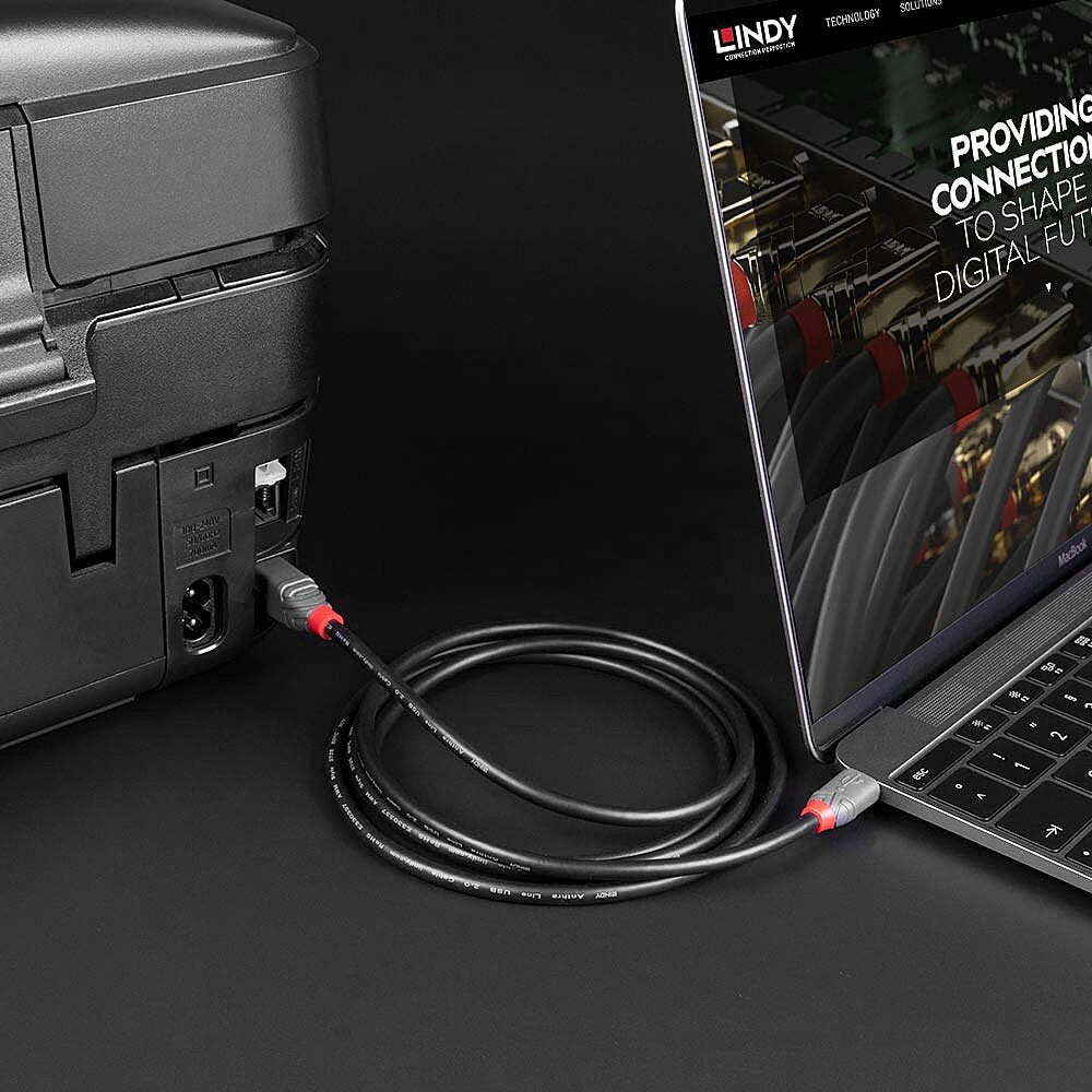 Lindy USB-Kabel, USB-C zu USB-B, 0,5 m, USB 2.0