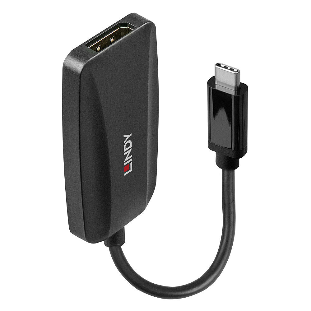 Lindy USB-C auf DisplayPort Adapter, DP 1.4