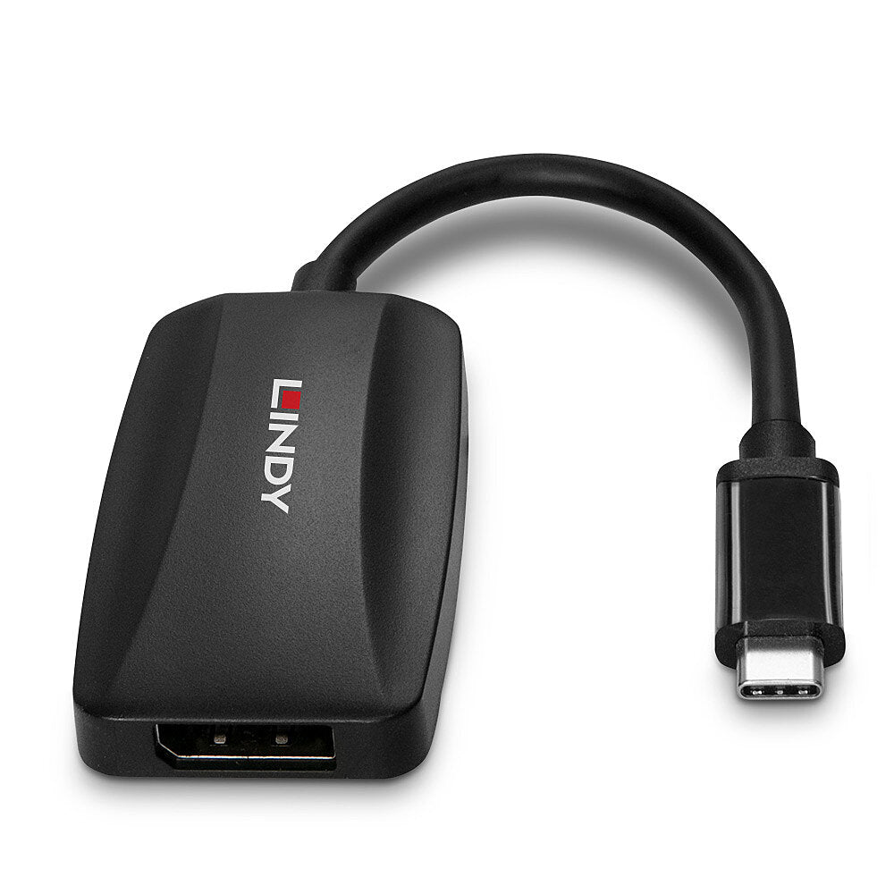 Lindy USB-C auf DisplayPort Adapter, DP 1.4