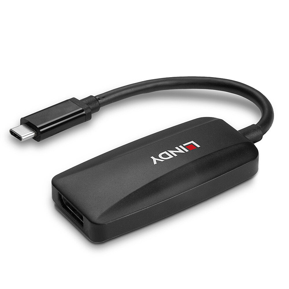 Lindy USB-C auf DisplayPort Adapter, DP 1.4