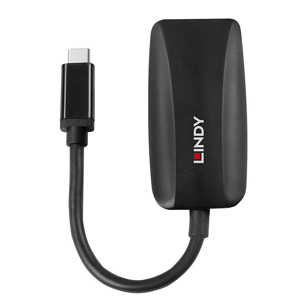 Lindy USB-C auf DisplayPort Adapter, DP 1.4