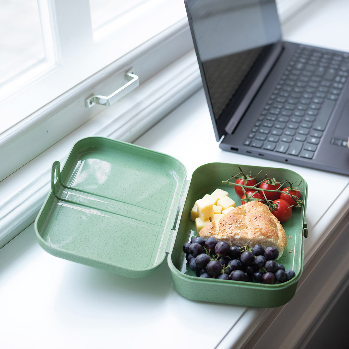 Koziol Pascal L – Lunchbox 23,2 × 16,6 × 6,2 cm, mit Trennsteg, Biokunststoff, grün