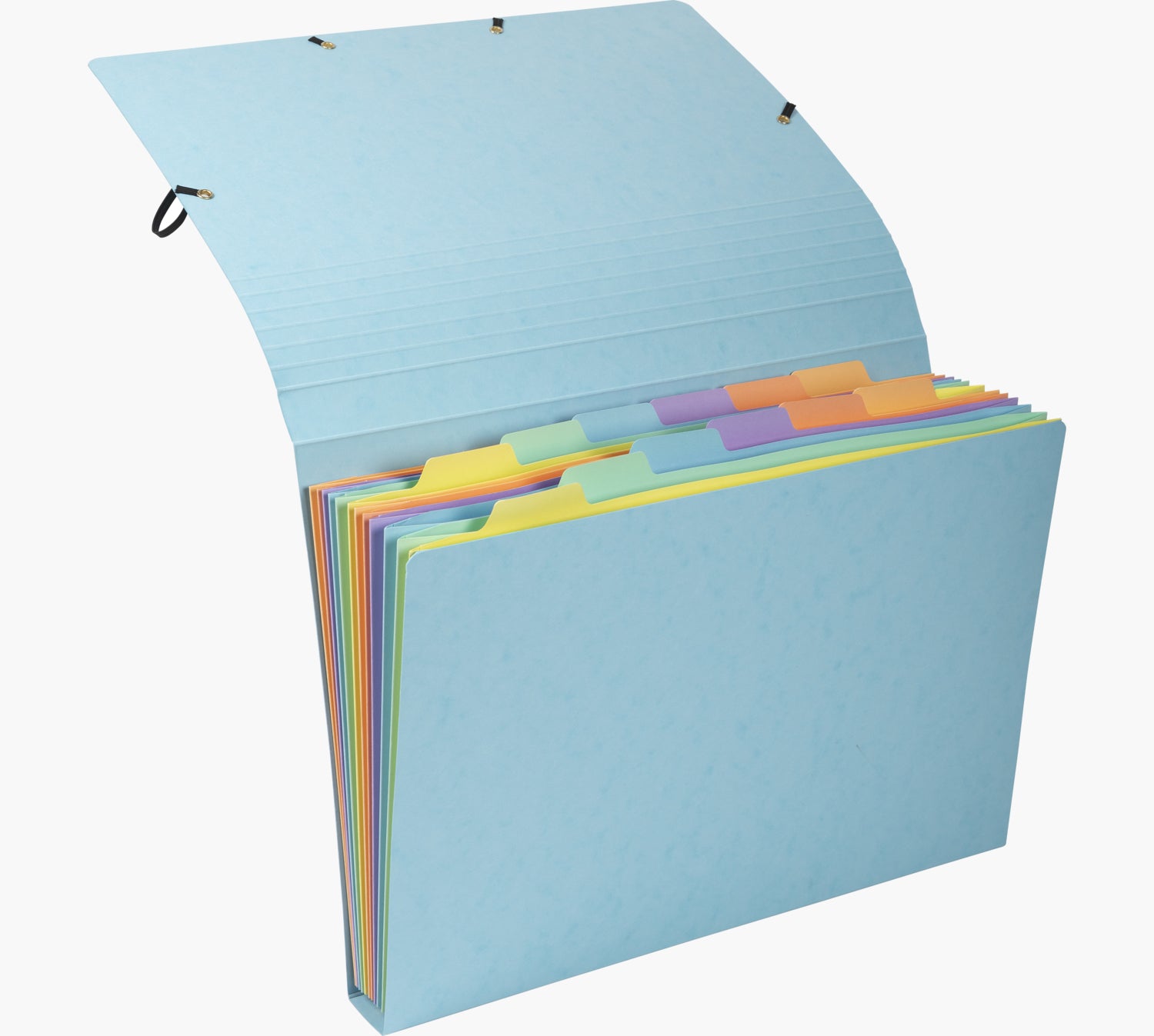 Exacompta Sammelmappe für A4, Pressspan, Mehrfarbig