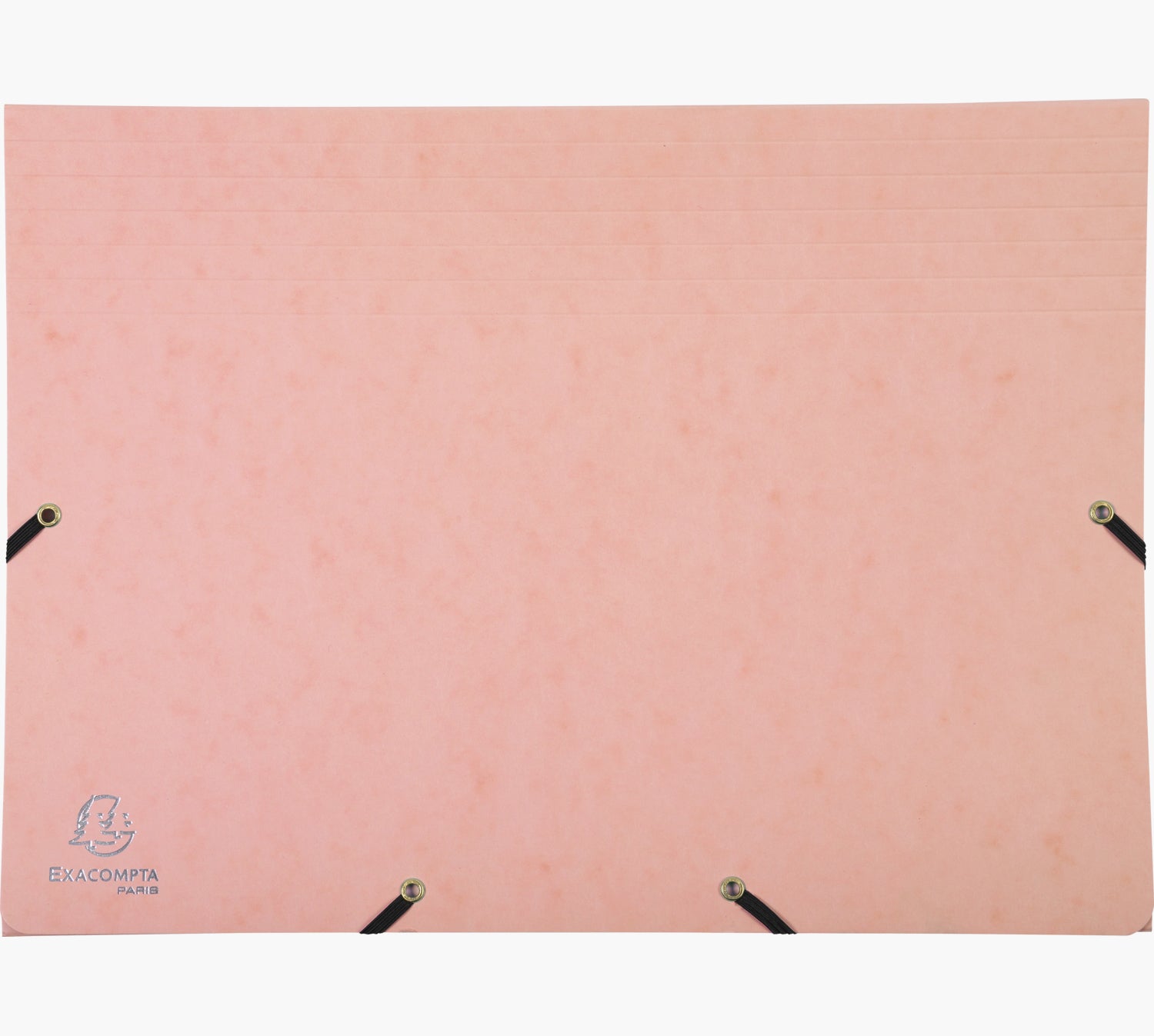 Exacompta Aquarel Fächermappe A4 – 12 Fächer, Gummiband, Karton, Mehrfarbig, bis 250 Blatt, 4 Stk.