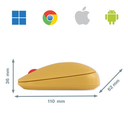 Leitz Cosy – Maus – Kabellos (Bluetooth/2,4 GHz), 4000 DPI, beidhändig
