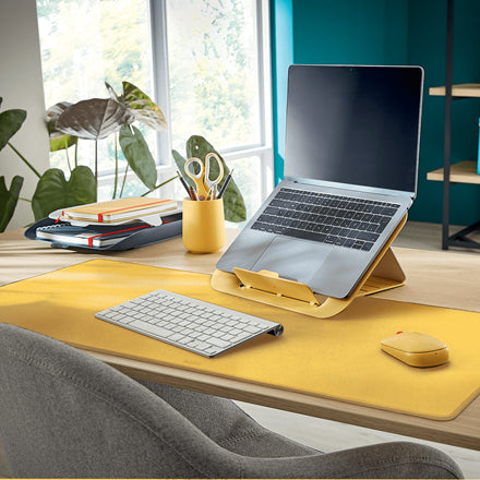Leitz Cosy – Maus – Kabellos (Bluetooth/2,4 GHz), 4000 DPI, beidhändig