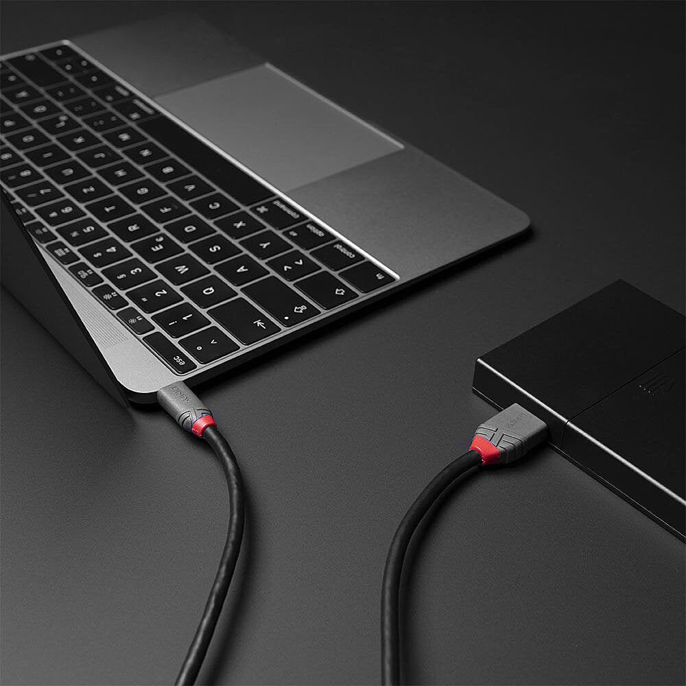Lindy USB-Kabel, USB-C zu Micro-USB, 1 m, USB 3
