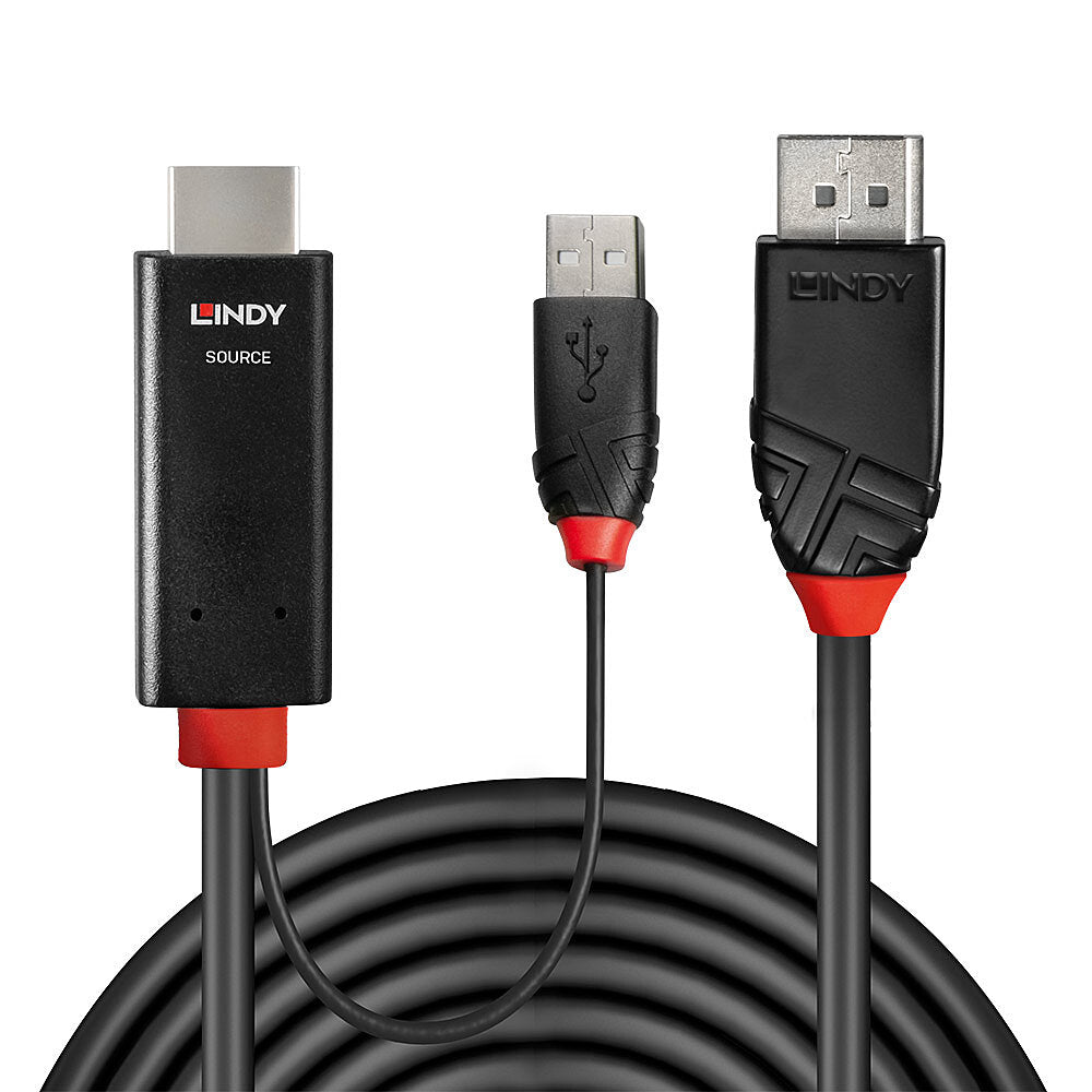 Lindy HDMI auf DisplayPort Adapter, 3 m